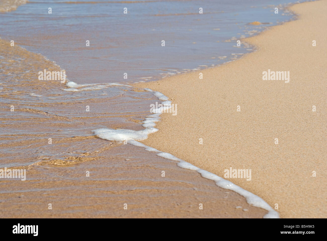 Grande image d'une douce vague paisible sur la plage Banque D'Images