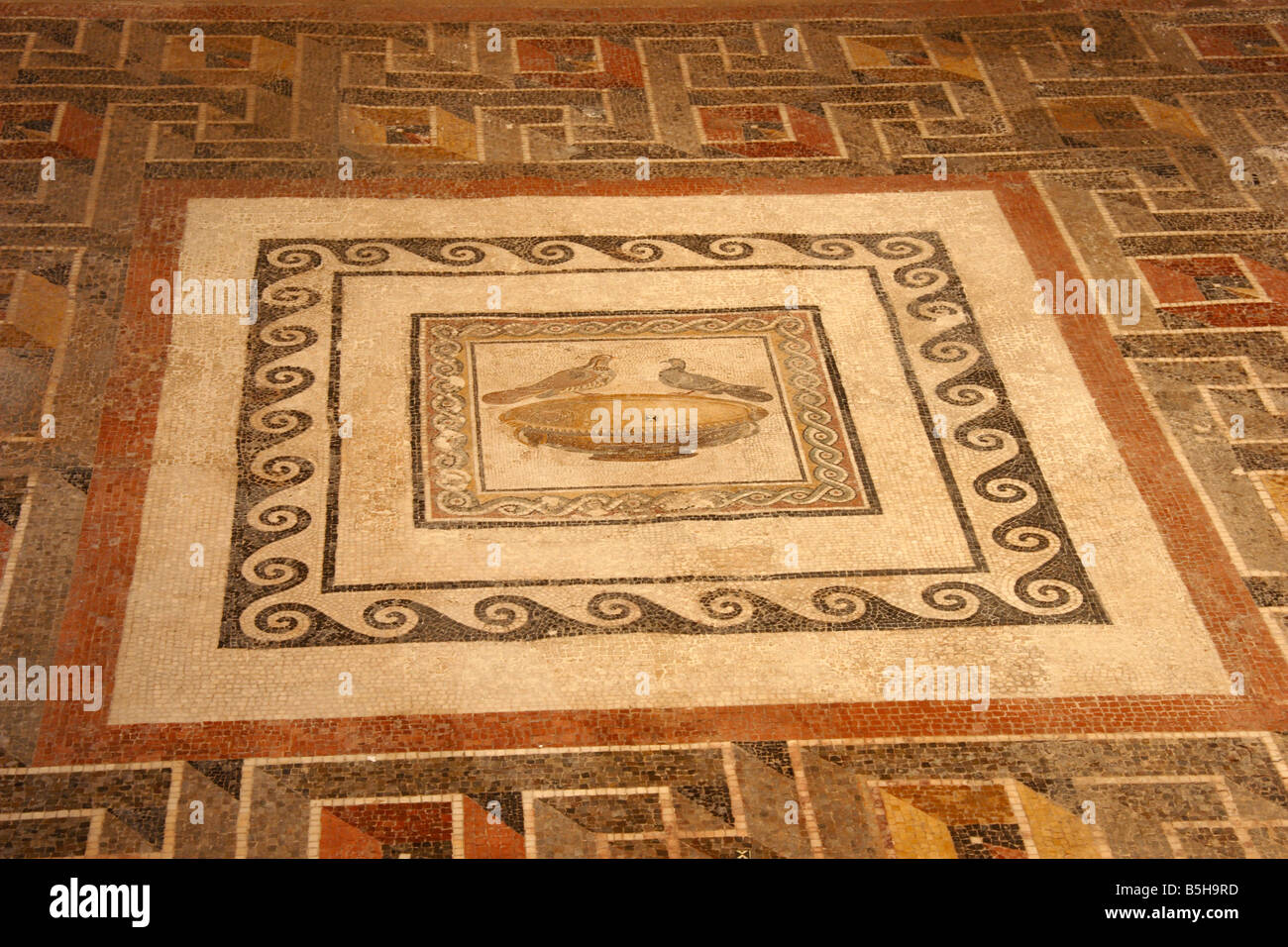 Un sol en mosaïque romaine dans le Musée romain 'Domvs Romana" à Rabat, Malte. Banque D'Images