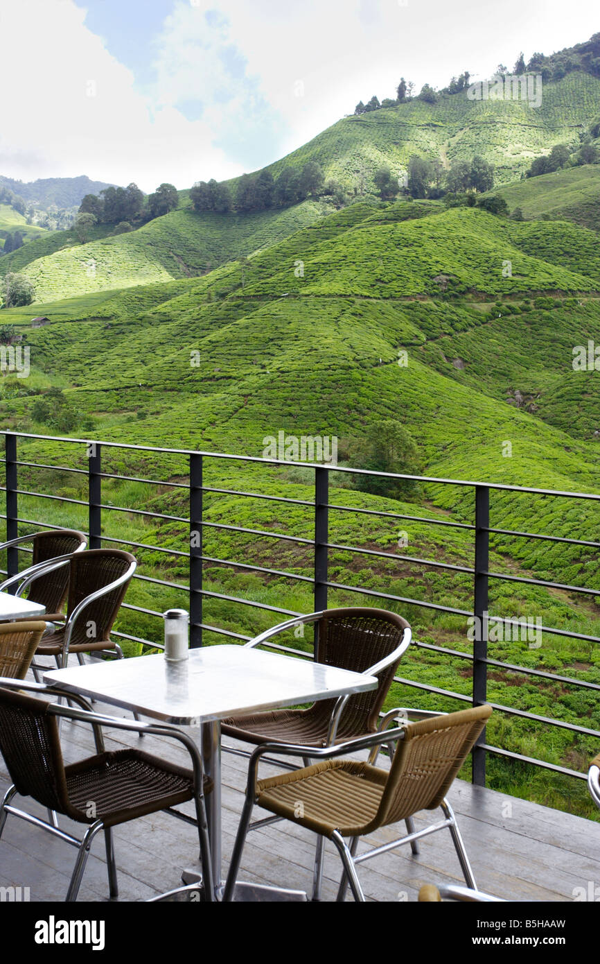 Restaurant avec belle vue dans une plantation de thé en Cameron Highlands, Malaisie. Banque D'Images