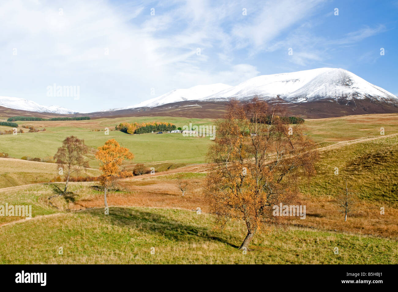 Peu d'lude dans Glen Blair Atholl aile Tayside Perthshire Scotland UK Région 1103 SCO Banque D'Images