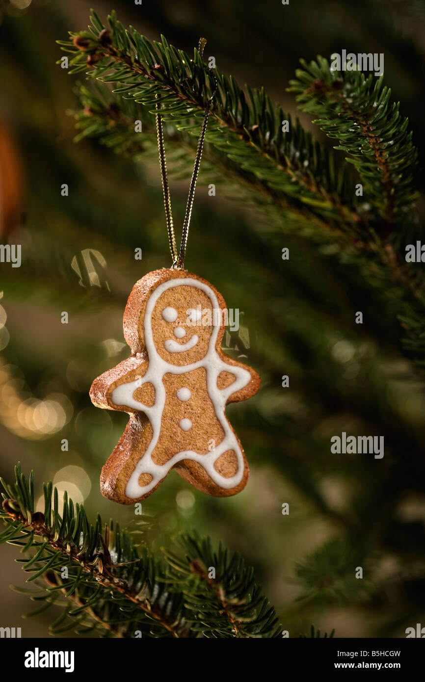 Gingerbread Man sur un arbre OK Computer Banque D'Images