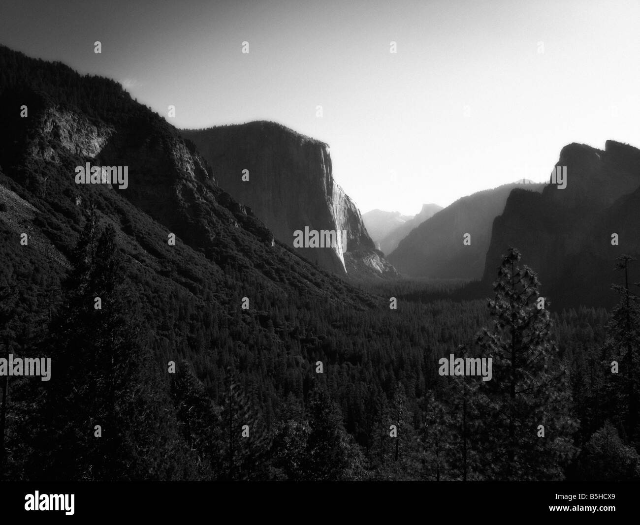 El Capitan. Le Parc National Yosemite. Désigné site du patrimoine mondial de l'Unesco en 1984. Centre-est de la Californie. USA Banque D'Images