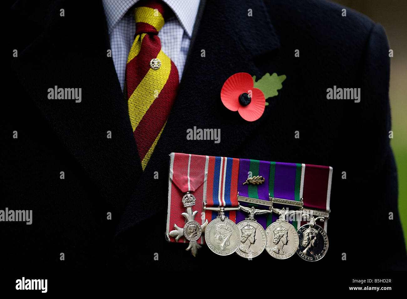 Un ancien soldat du régiment en cravate avec médailles et un coquelicot  Photo Stock - Alamy