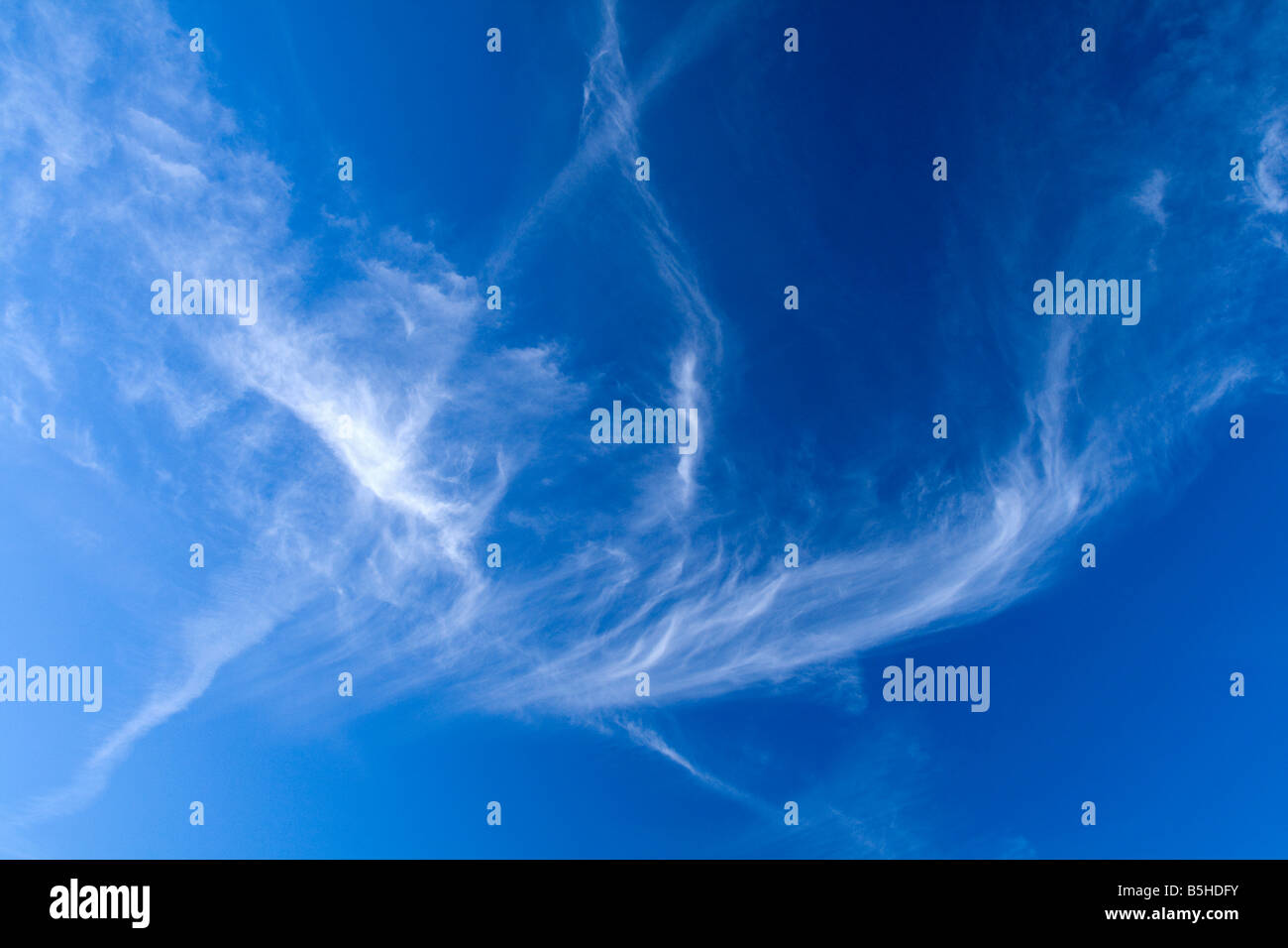 Cirrus ou mare's tails nuages dans un ciel bleu Banque D'Images