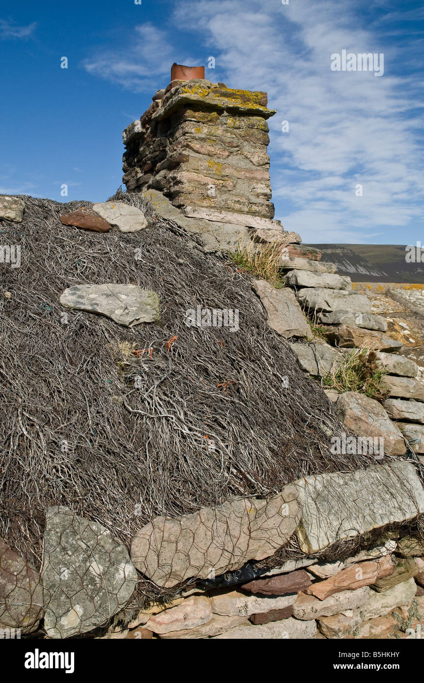 dh HOY ORKNEY en pierre chinée toit isolant du patrimoine cottage ecosse Banque D'Images