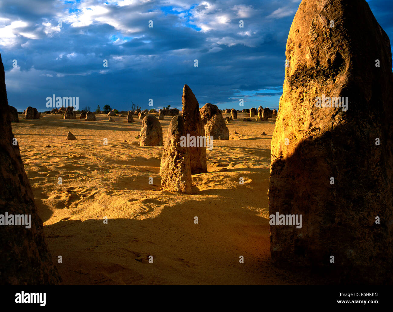 Des formations de grès de Pinnacle, le Parc National de Nambung, Australie occidentale, Australie, Océanie Banque D'Images