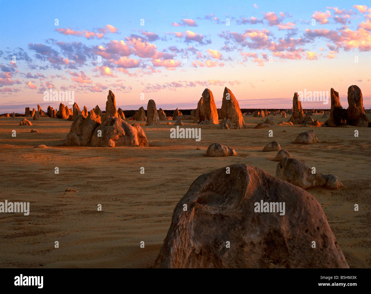 Formations de grès Pinnacle au coucher du soleil, le Parc National de Nambung, Australie occidentale, Australie, Océanie Banque D'Images