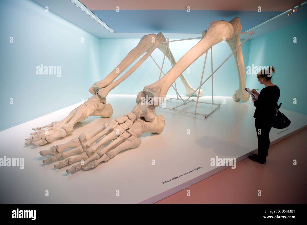 L'art moderne l'espace d'installation des os/Bone l'espace par l'artiste chinoise à Sui Jianguo Groninger Museum à groningen Pays-Bas Banque D'Images