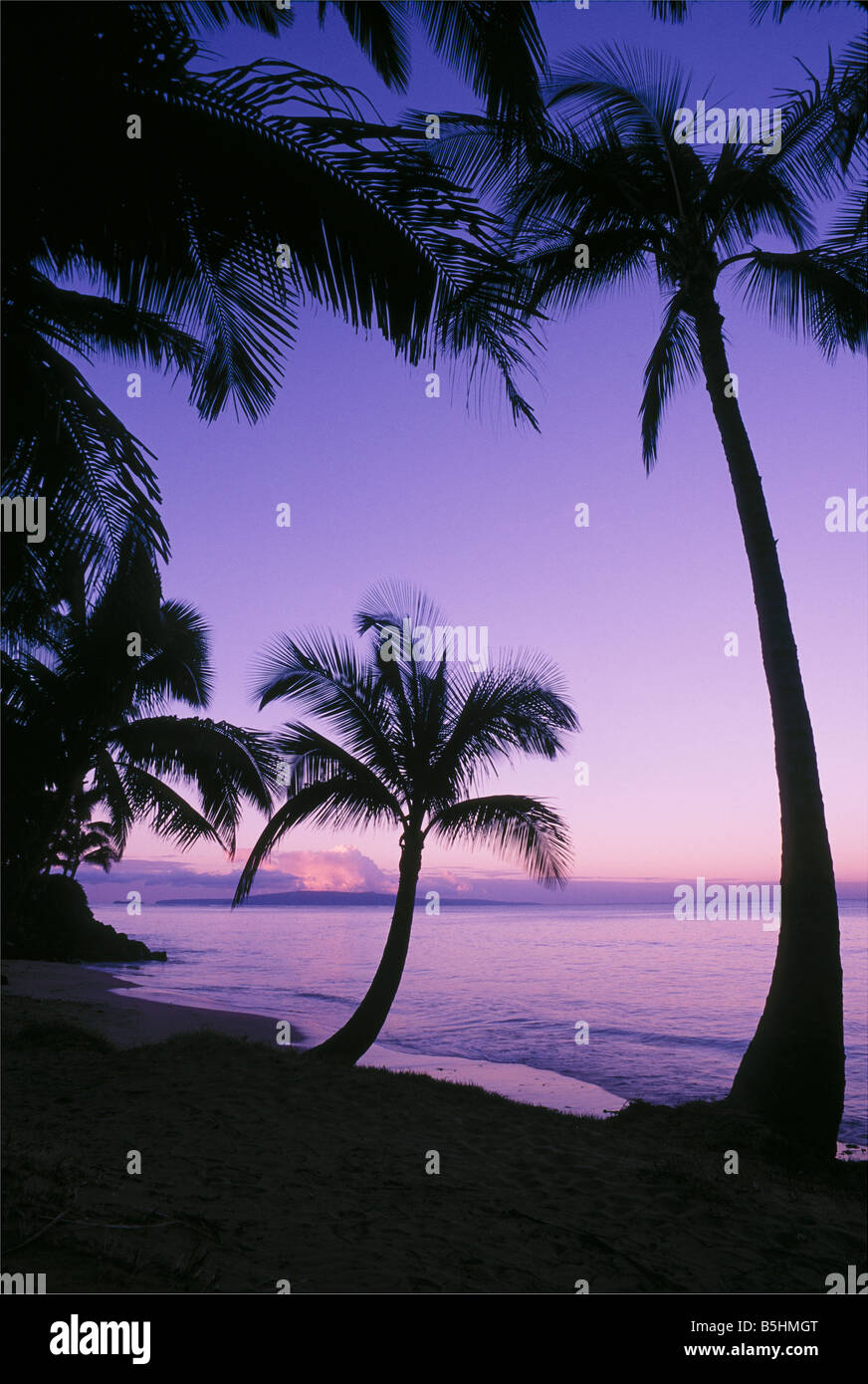 Palmiers et la plage à l'aube avec l'île de Hawaii Hawaii Maui Kihei à distance Banque D'Images