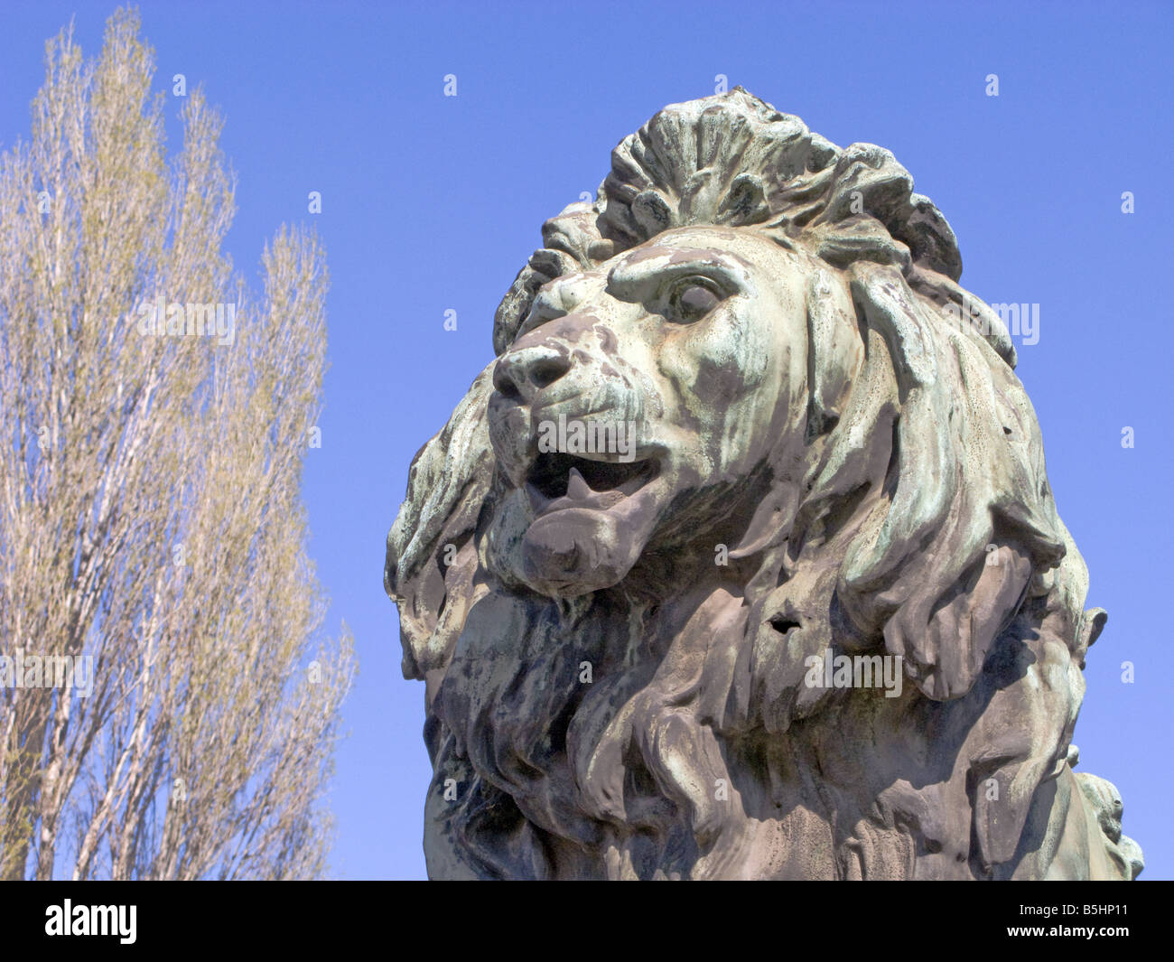 Big Cat Leo Lion Mane Muselières Sculpture Chat Sauvage Banque D'Images