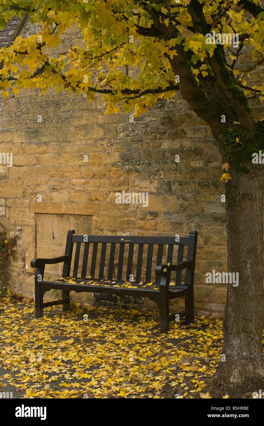 Un banc public à Broadway dans les Cotswolds couvert de feuilles d'automne et montrant l'arbre dont les feuilles sont tombées Banque D'Images