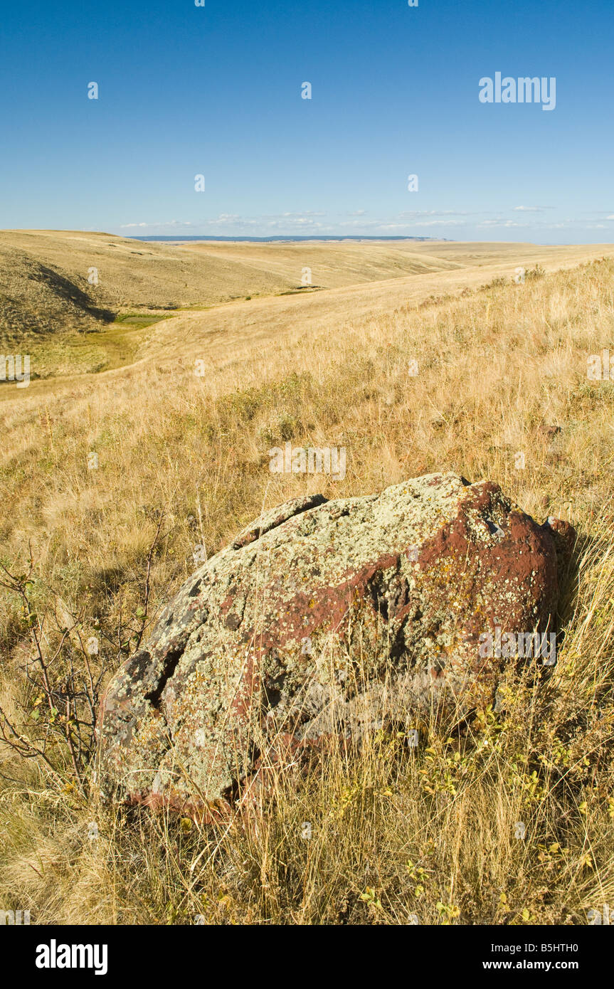 La nature Conservancys Prairie Zumwalt Wallowa County au nord-est de l'Oregon Banque D'Images