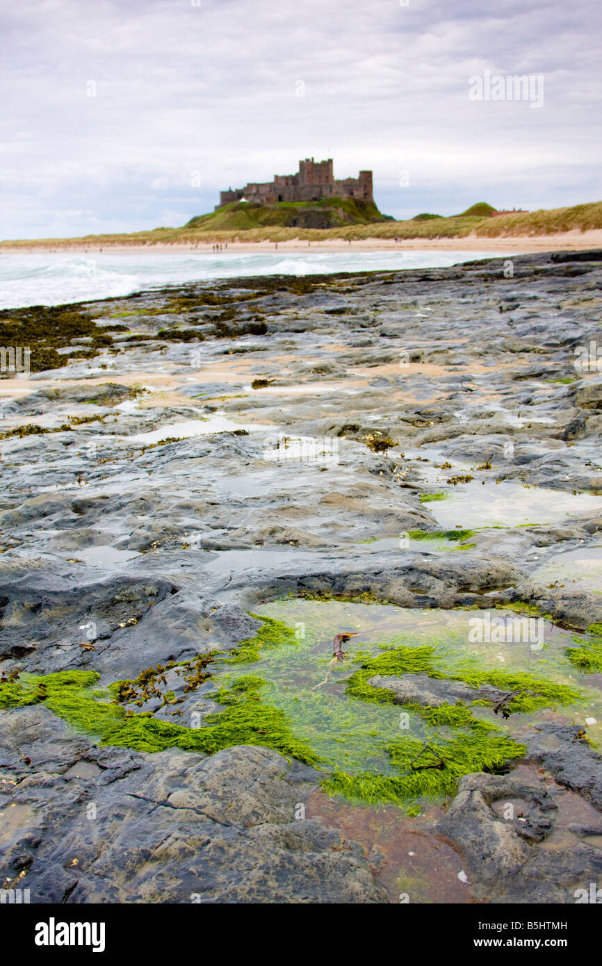 Château de Bamburgh Northumberland Royaume-uni plage et sur la mer Banque D'Images