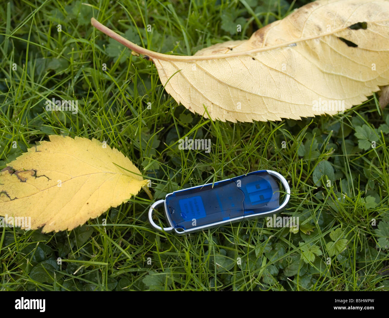Un memory stick numérique perdu sur l'herbe Banque D'Images