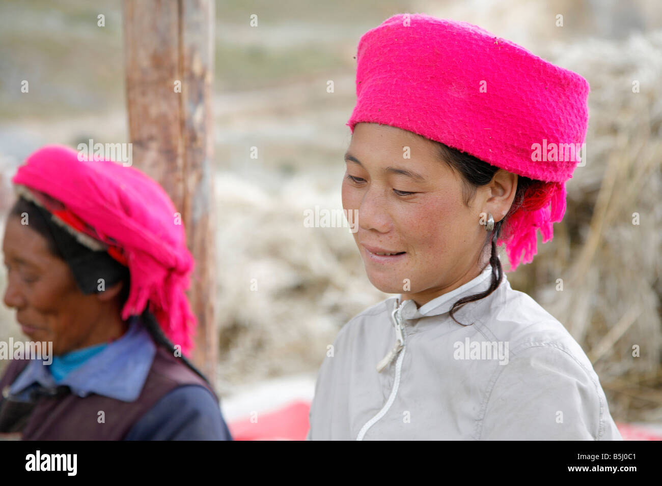 Le battage des femmes ou de Canola Colza dans la province du Yunnan, Chine Banque D'Images