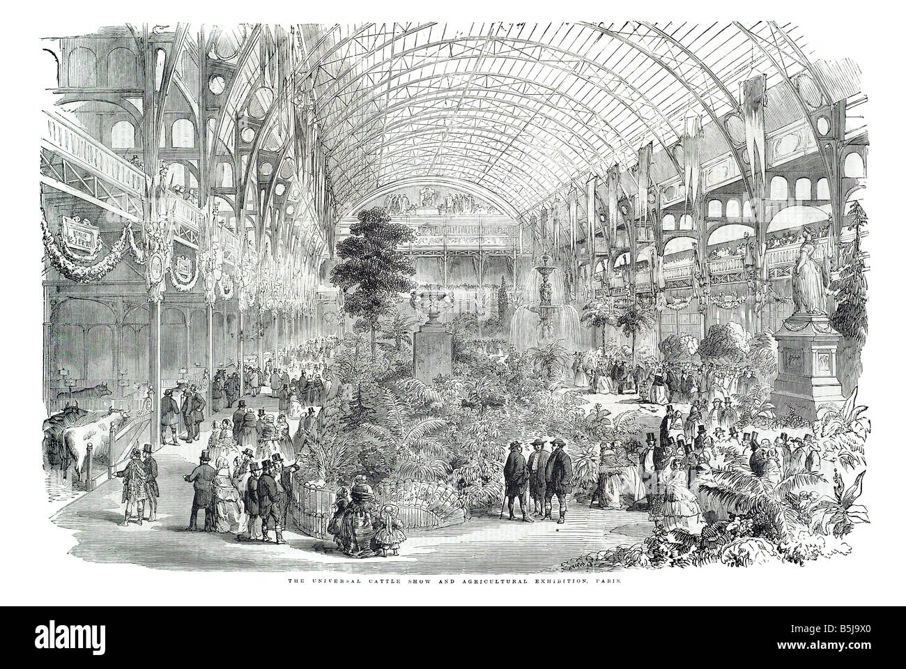 Le bétail universel et montrer d'exposition agricole Paris 14 juin 1856 l'Illustrated London News Page 656 Banque D'Images