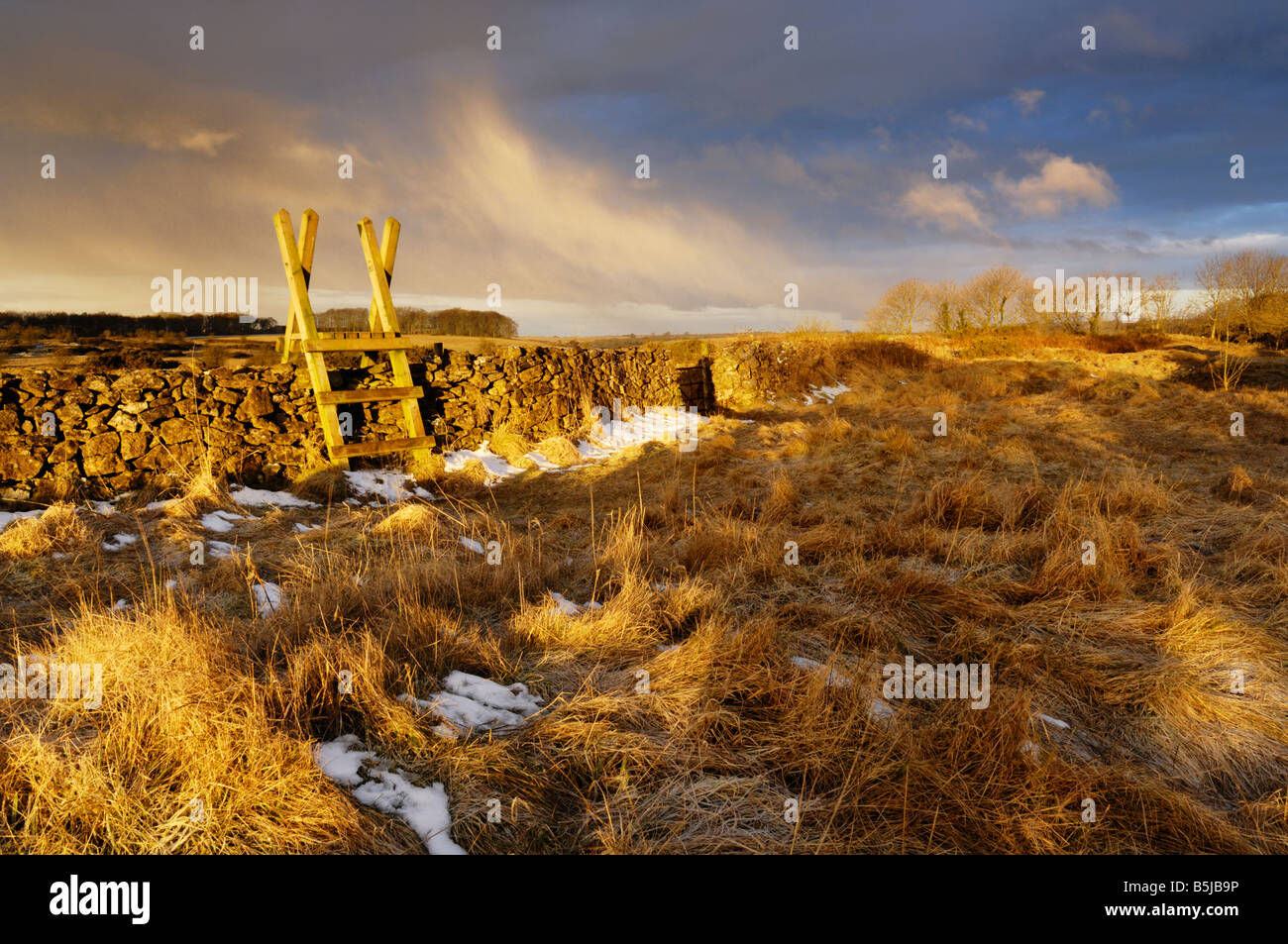 Au début du printemps la neige sur les collines de Mendip à Ubley Warren Nature Reserve près de Chartreuse, Somerset, Angleterre. Banque D'Images