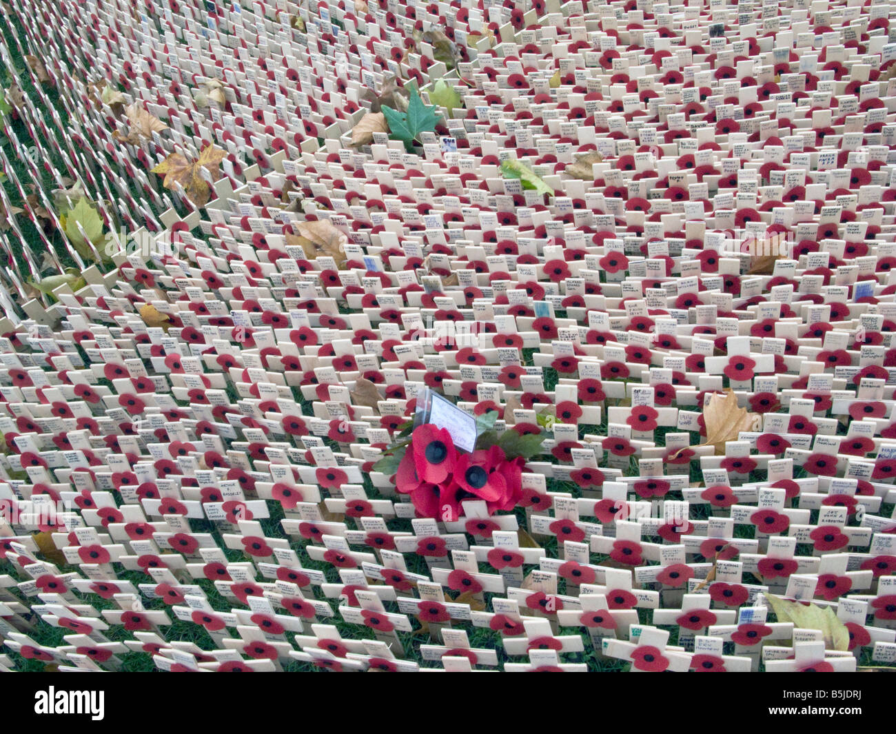 UK.COQUELICOTS ET TRAVERSE PAR L'abbaye de Westminster LE JOUR DU SOUVENIR, ANNIVERSAIRE DE LA FIN DE LA GRANDE GUERRE. Londres. Banque D'Images