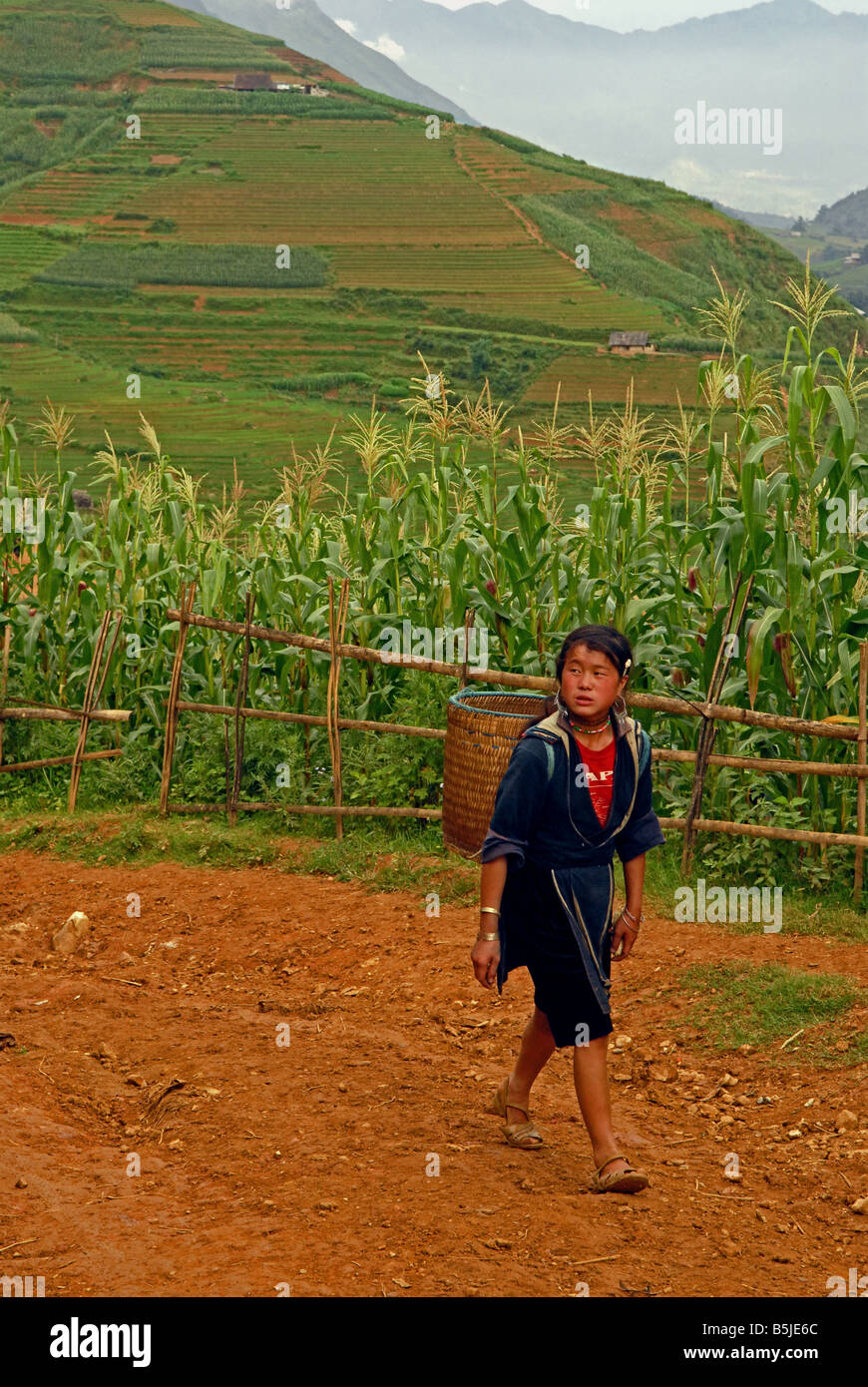 Des ados Hmong noir sur son chemin de retour dans les champs du nord du Vietnam Banque D'Images