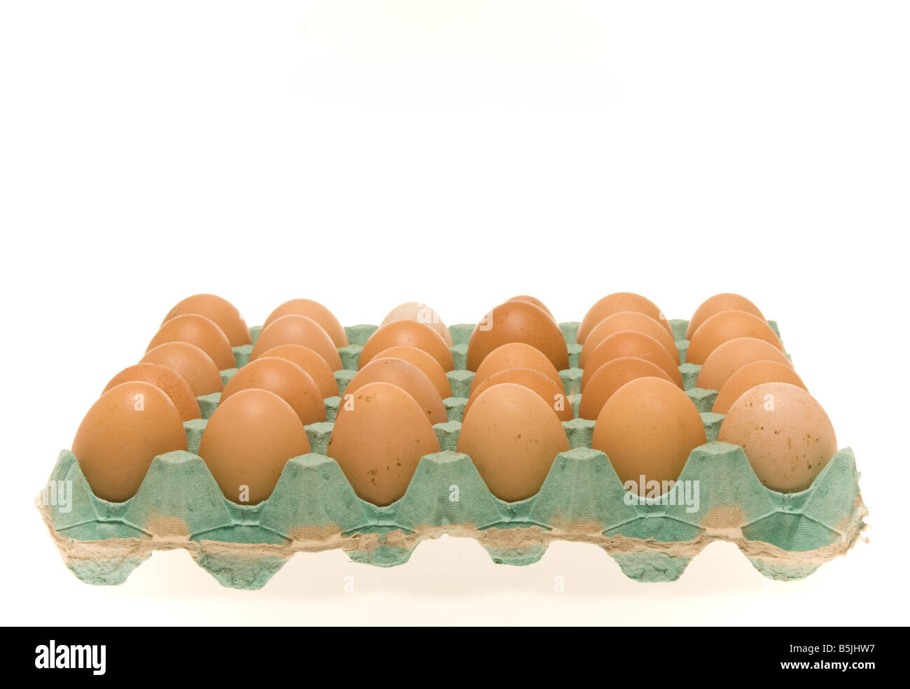 Poules brunes oeufs dans un plateau en carton vert sur fond blanc. Banque D'Images