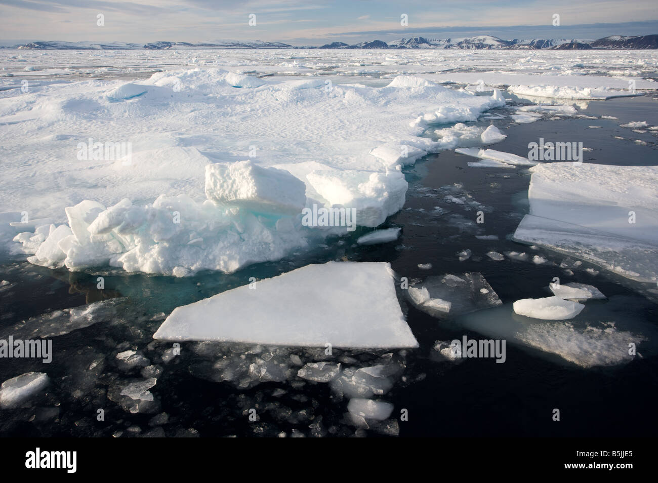 La dérive des glaces en fjord Banque D'Images