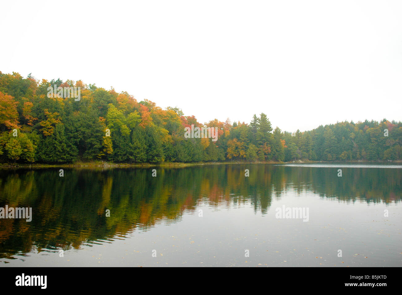 Morning Mist dans un automne paysage pittoresque. Banque D'Images