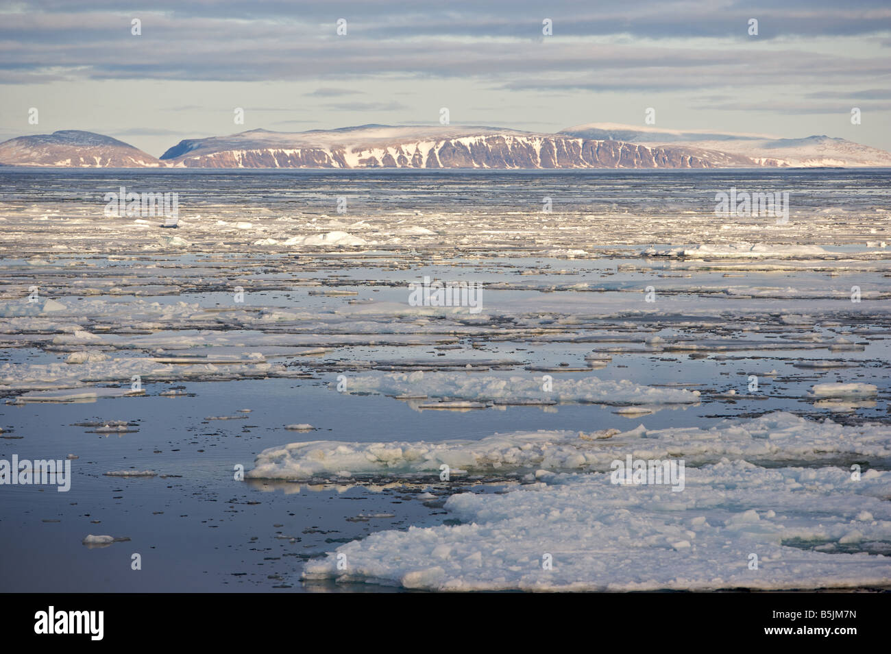 La dérive des glaces en fjord Banque D'Images