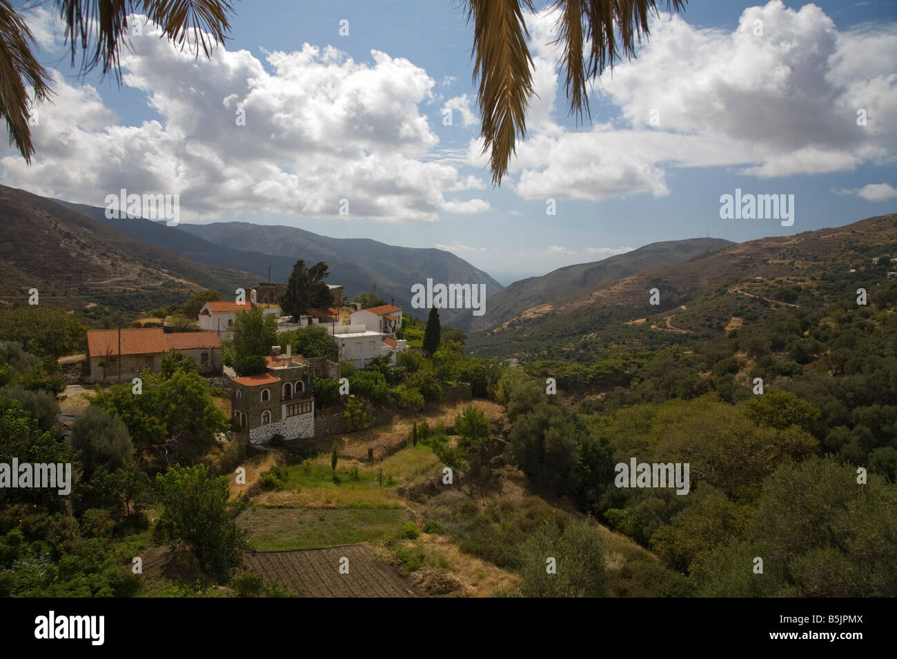 Avis de Kambos, Crète de l'Ouest Banque D'Images