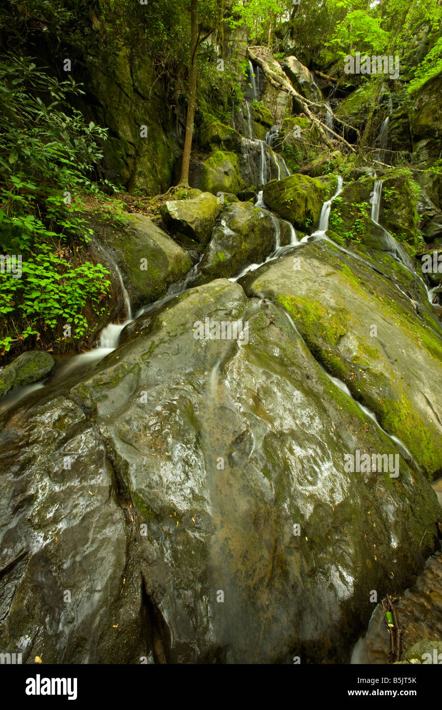 Direction générale de la falaise Falls Parc national des Great Smoky Mountains TN USA Banque D'Images