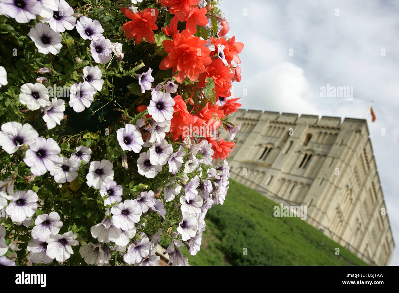 Ville de Norwich, en Angleterre. Château Meadow affichage floral, avec le château de Norwich, musée et galerie d'art à l'arrière-plan. Banque D'Images