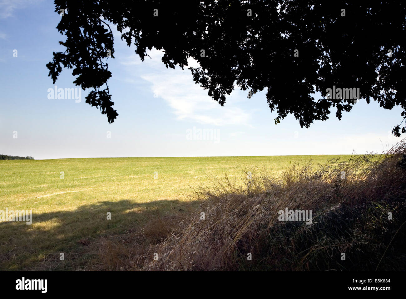 Vue sur la campagne anglaise avec arbres surplombant Banque D'Images