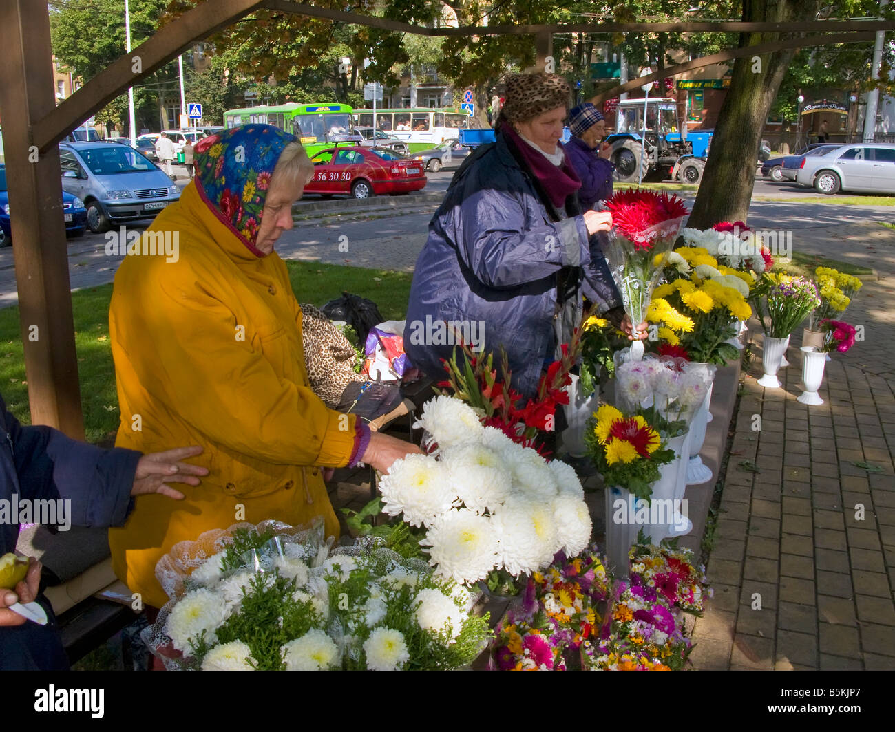 La Russie, Kaliningrad, Konigsberg, les femmes vente de fleurs sur Prospekt Mira Banque D'Images