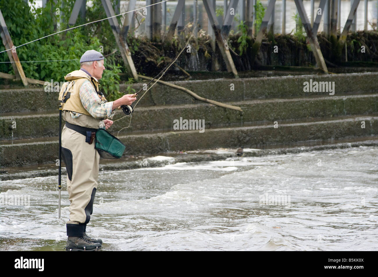 Homme âgé DAO Fly Fishing Fisherman Molesey Weir River Thames Surrey la retraite Banque D'Images