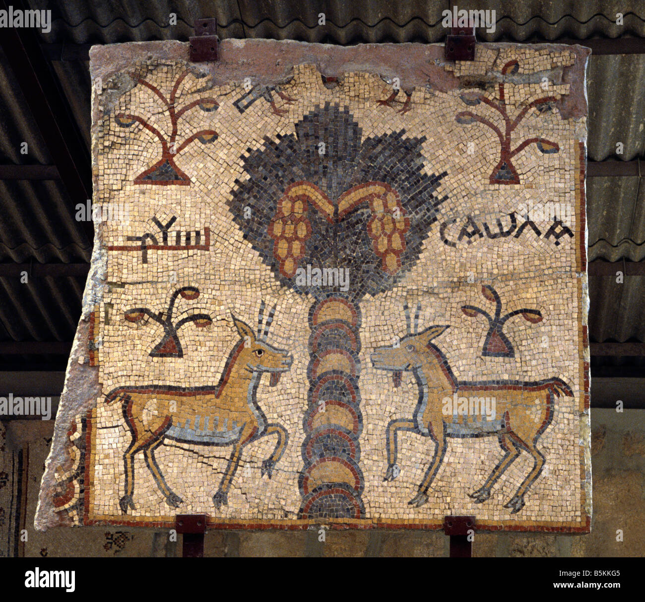 La basilique du mont Nebo de Moïse Jordan reste de mosaïque antique - le mont Nebo dit être l'endroit où Moïse a vu la Terre Promise Banque D'Images