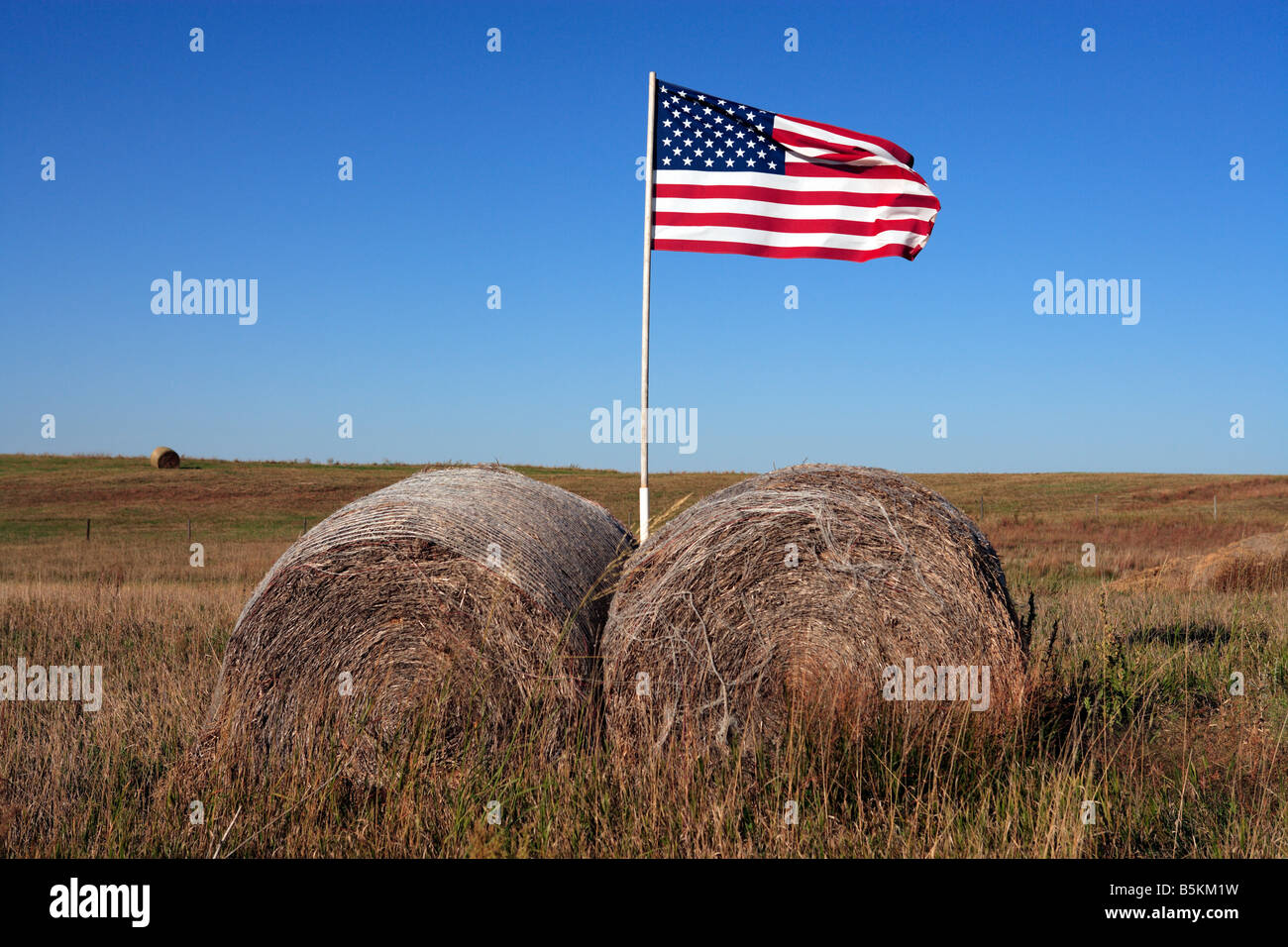 Un drapeau américain est planté dans un champ agricole rural au Nebraska. Banque D'Images