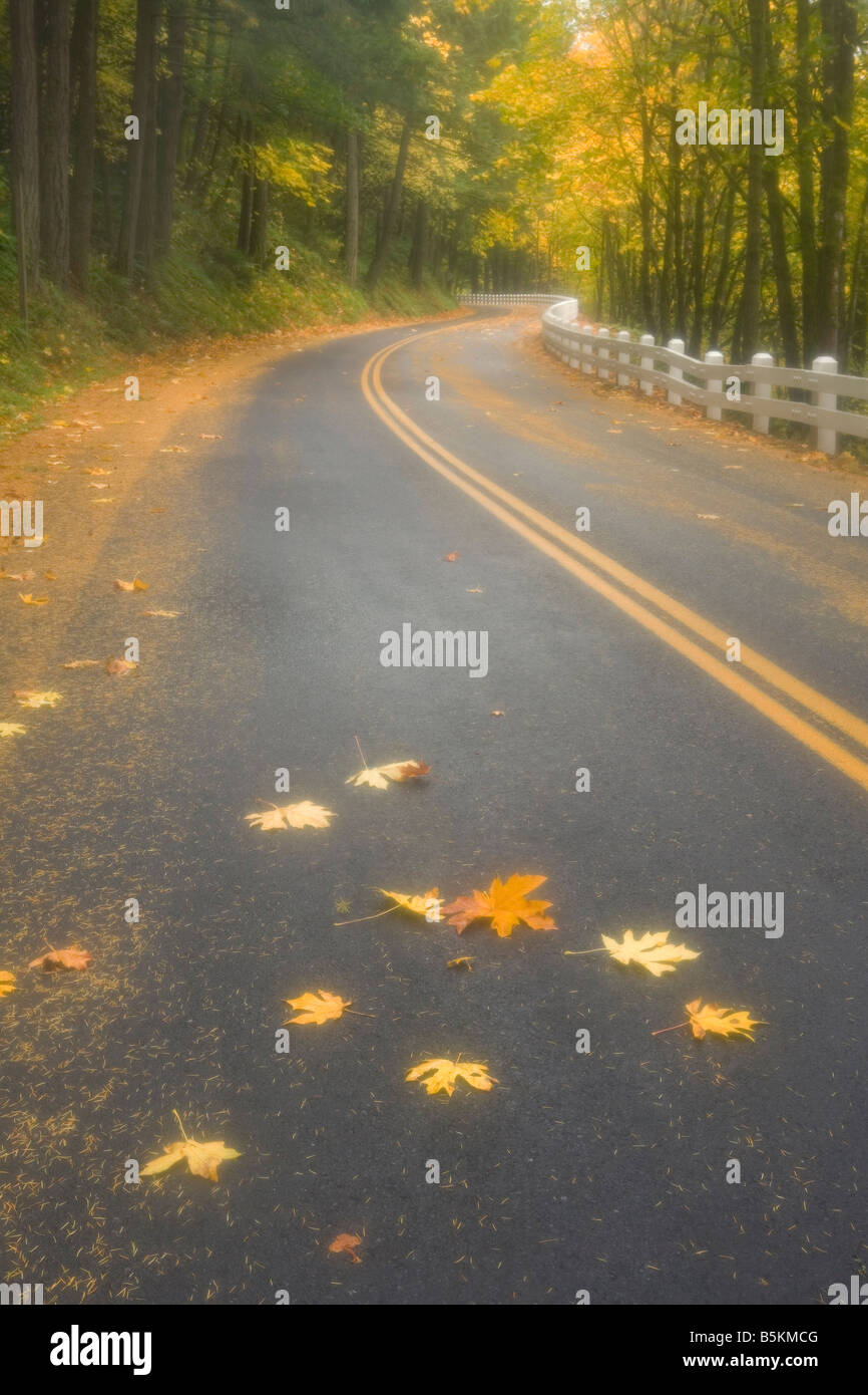 Columbia River Gorge Scenic Highway filtre doux automne Oregon Banque D'Images