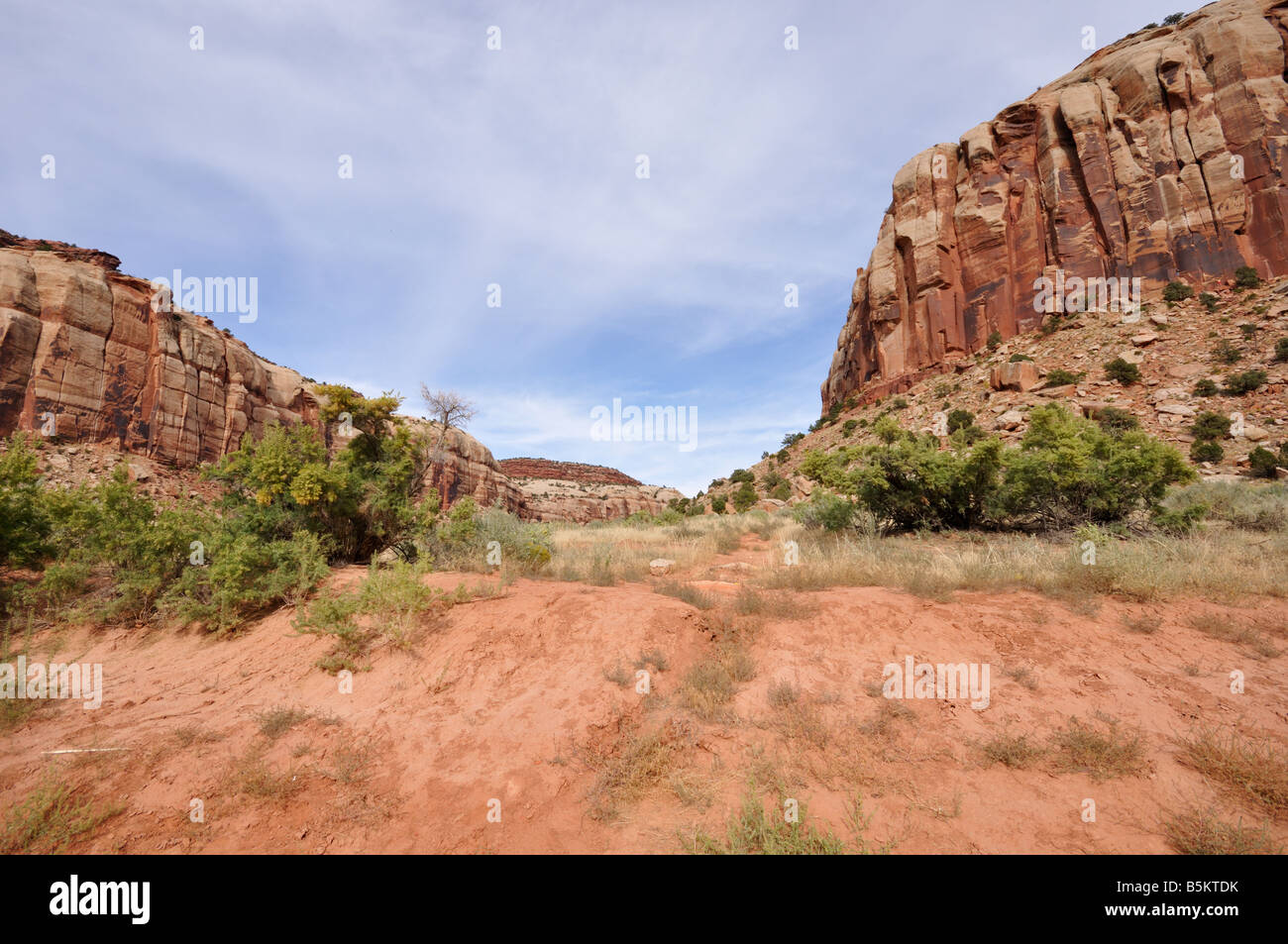 Paysage le long de la route dans le district d'aiguilles de Canyonlands National Park Banque D'Images