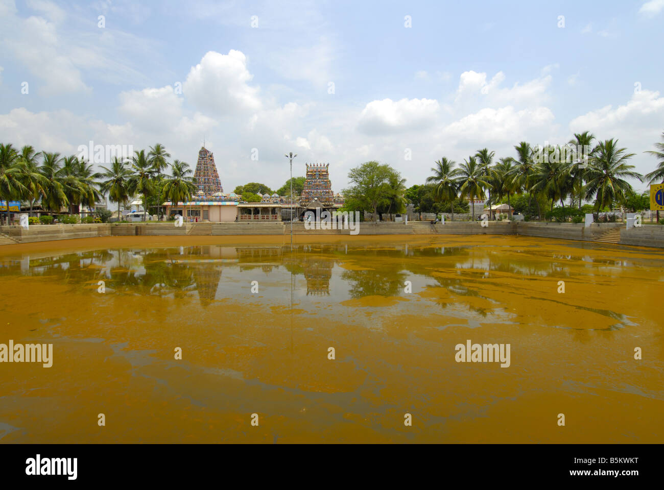 Étang DU TEMPLE RECOUVERTS DE MOUSSE PILLAYARPATTI TEMPLE GANESA TAMILNADU Banque D'Images