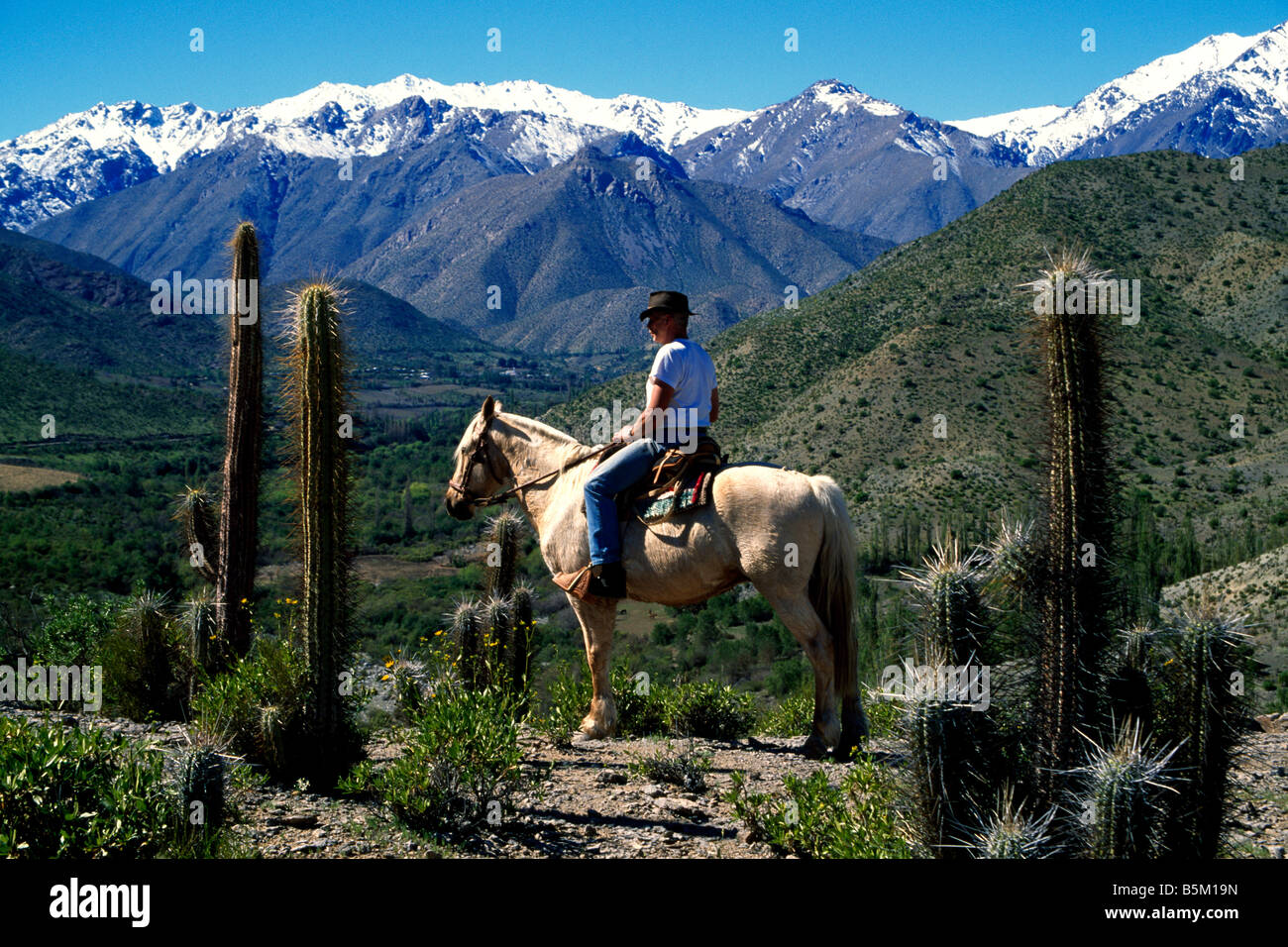 Gaucho à l'Hacienda Los Andes Rio Hurtado Chili Banque D'Images