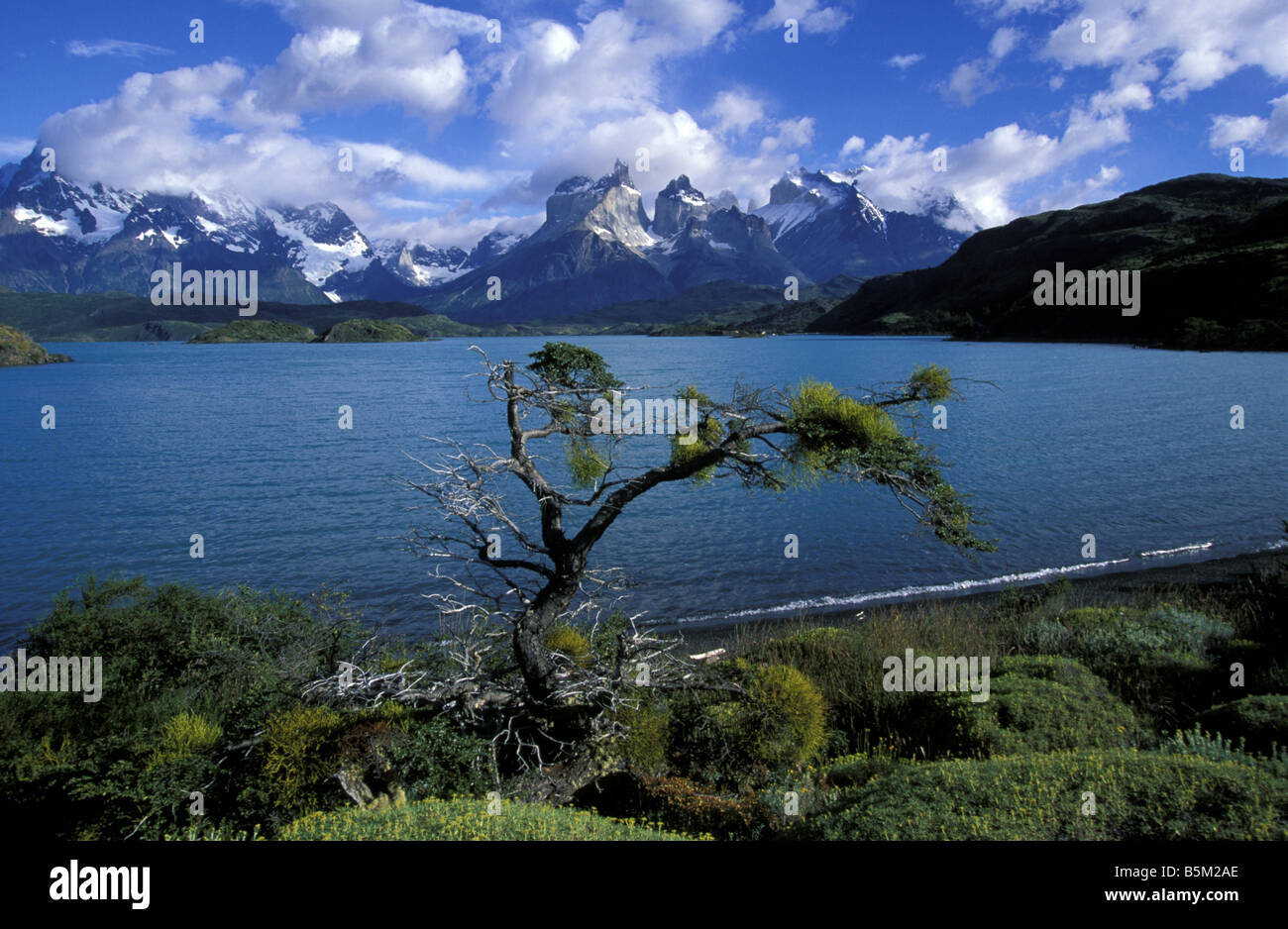 Le lac glaciaire Parc National Torres del Paine Patagonie Chili Banque D'Images