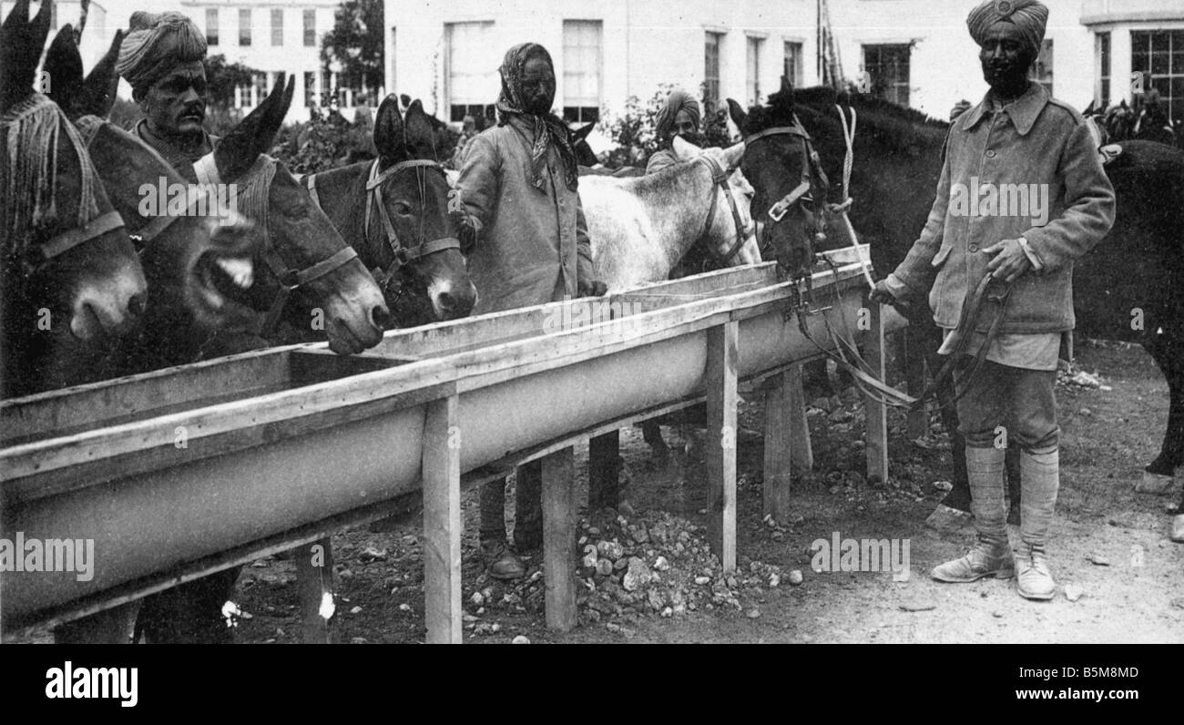 2 G55 H1 1914 3 E Indian muletiers La Première Guerre Mondiale 1914 Histoire Première Guerre mondiale, des troupes auxiliaires 1914 l'abreuvoir Muletiers Indienn Banque D'Images