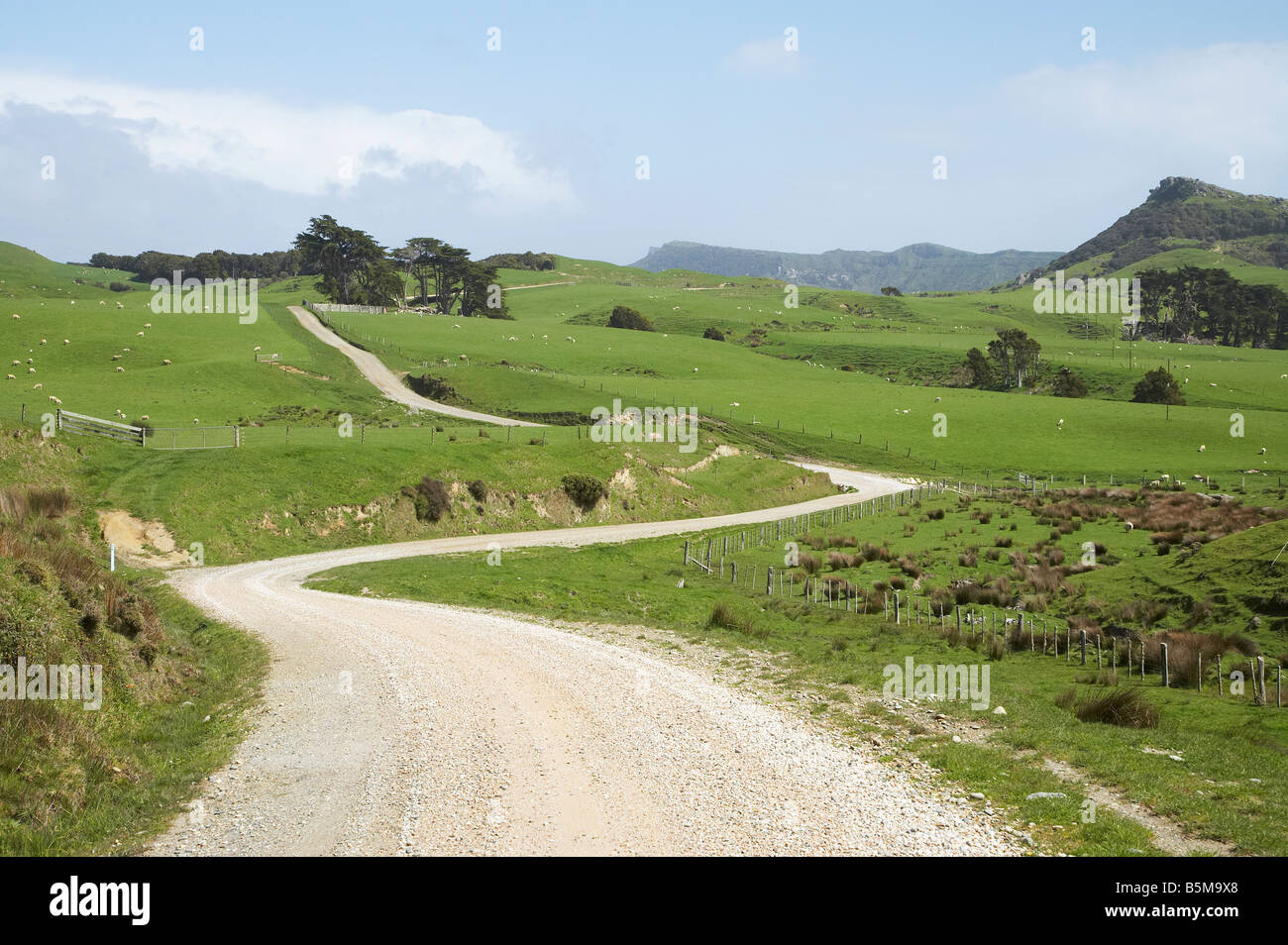 Route de gravier et de terres agricoles près de Gyeongju Inlet North West Nelson Region ile sud Nouvelle Zelande Banque D'Images