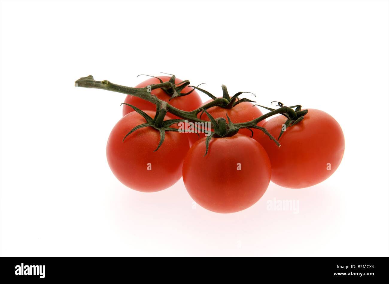 Cinq 5 tomates mûries de vigne sur un fond blanc. Banque D'Images