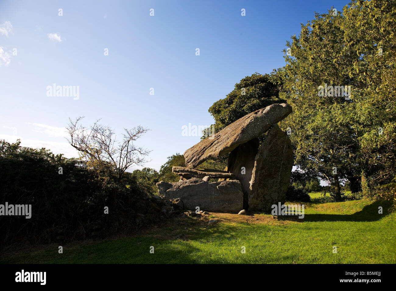 Kilmogue Tombeau mégalithique, connu localement sous le nom de « Leac an Scail » pierre ou le guerrier/héros, Harristown, Comté de Kilkenny, Irlande Banque D'Images