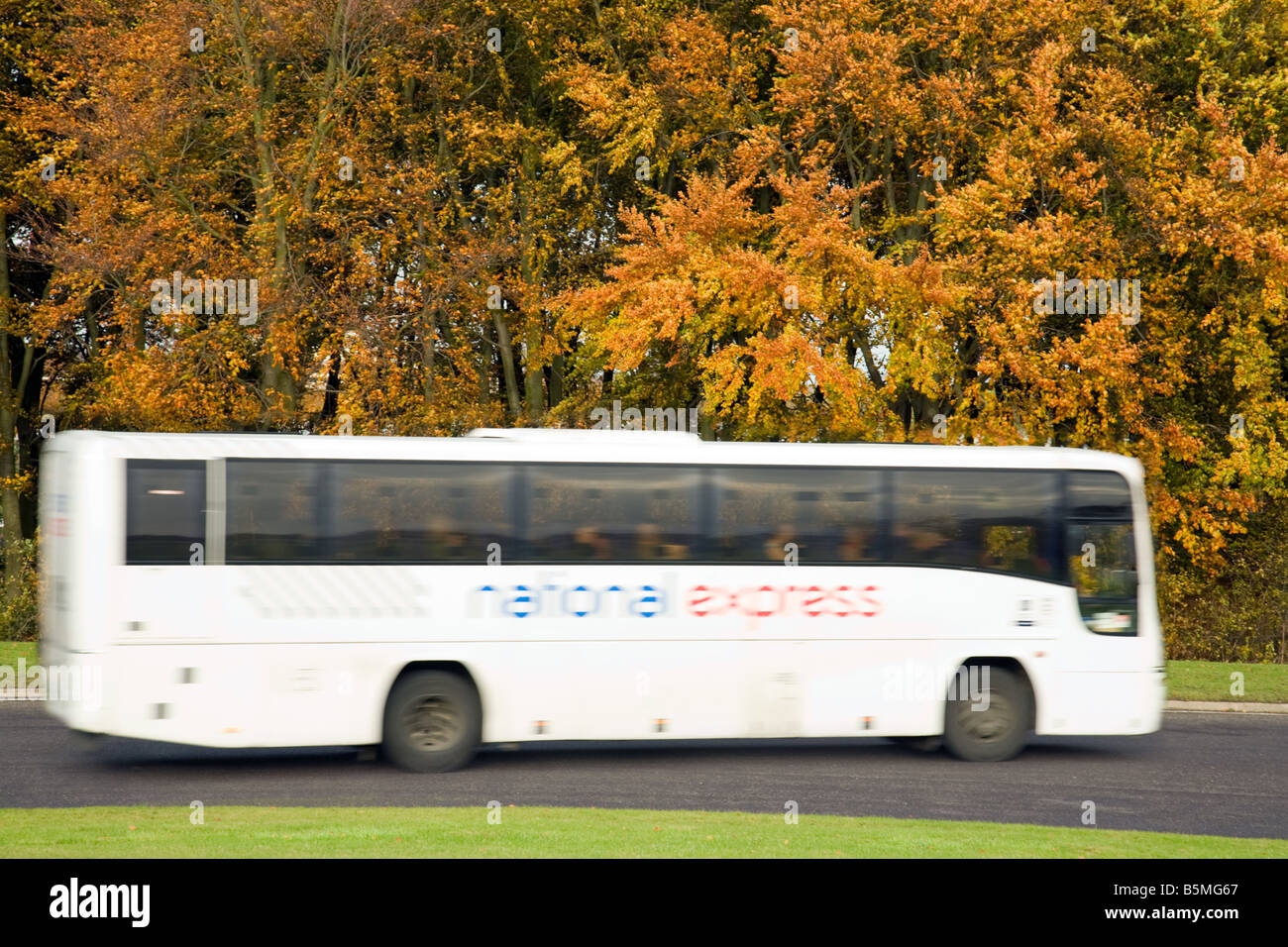 Un National Express Coach en automne, UK Banque D'Images
