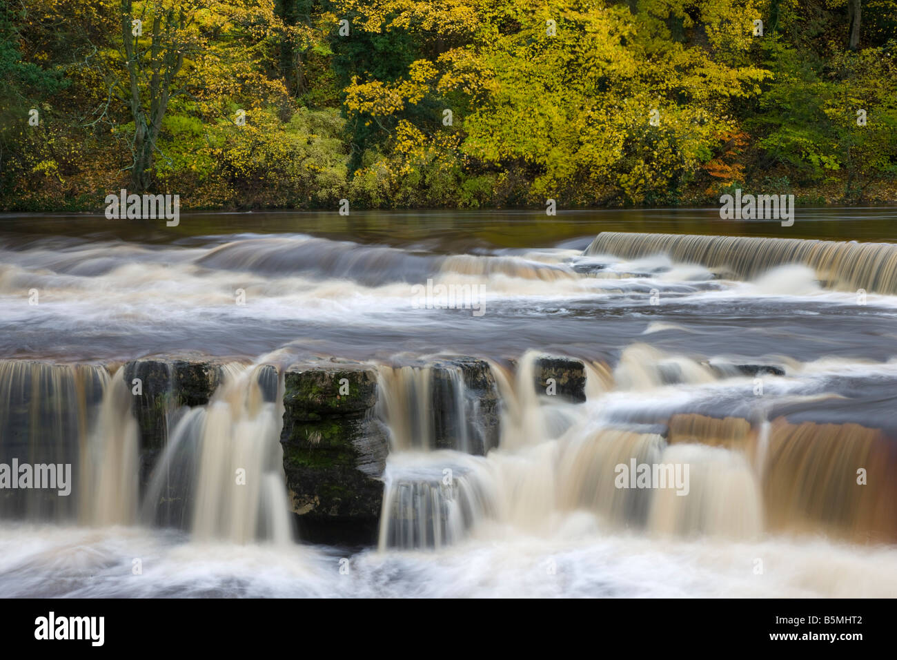 Les chutes de la rivière Swale à l'automne après de fortes pluies Richmond Yorkshire Banque D'Images