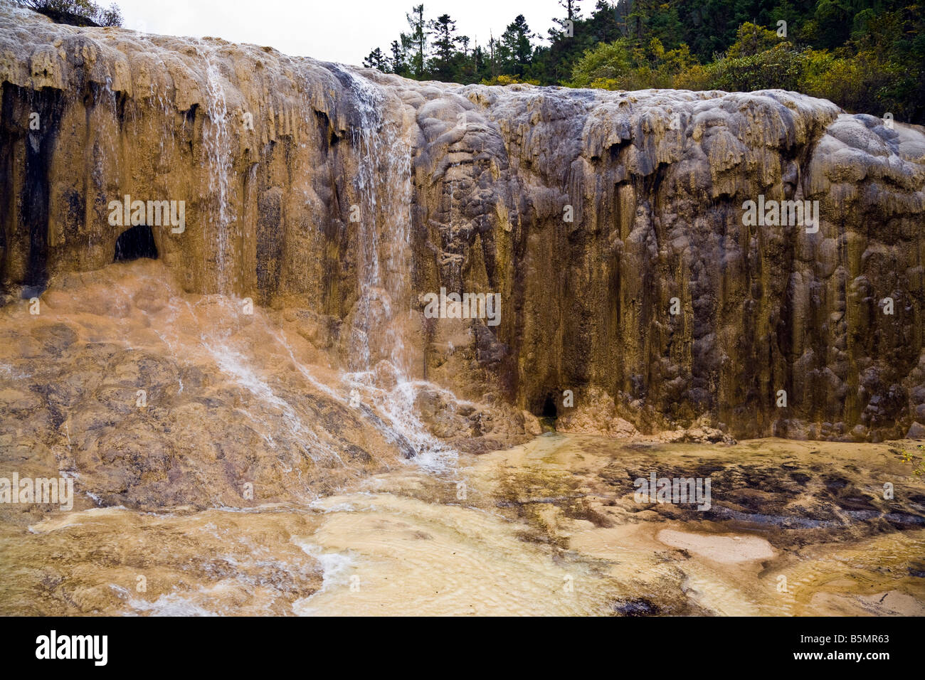 Calcifiés travertin Golden battant cascade dans la province de Sichuan Huanglong Chine JMH3527 Banque D'Images