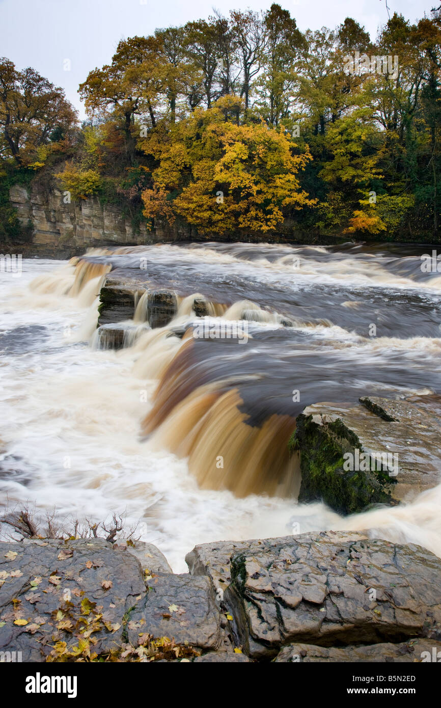 Les chutes de la rivière Swale à l'automne après de fortes pluies Richmond Yorkshire Banque D'Images
