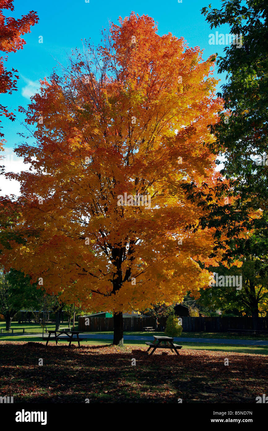 À l'automne de culte des martyrs à Midland, Ontario,Canada Banque D'Images