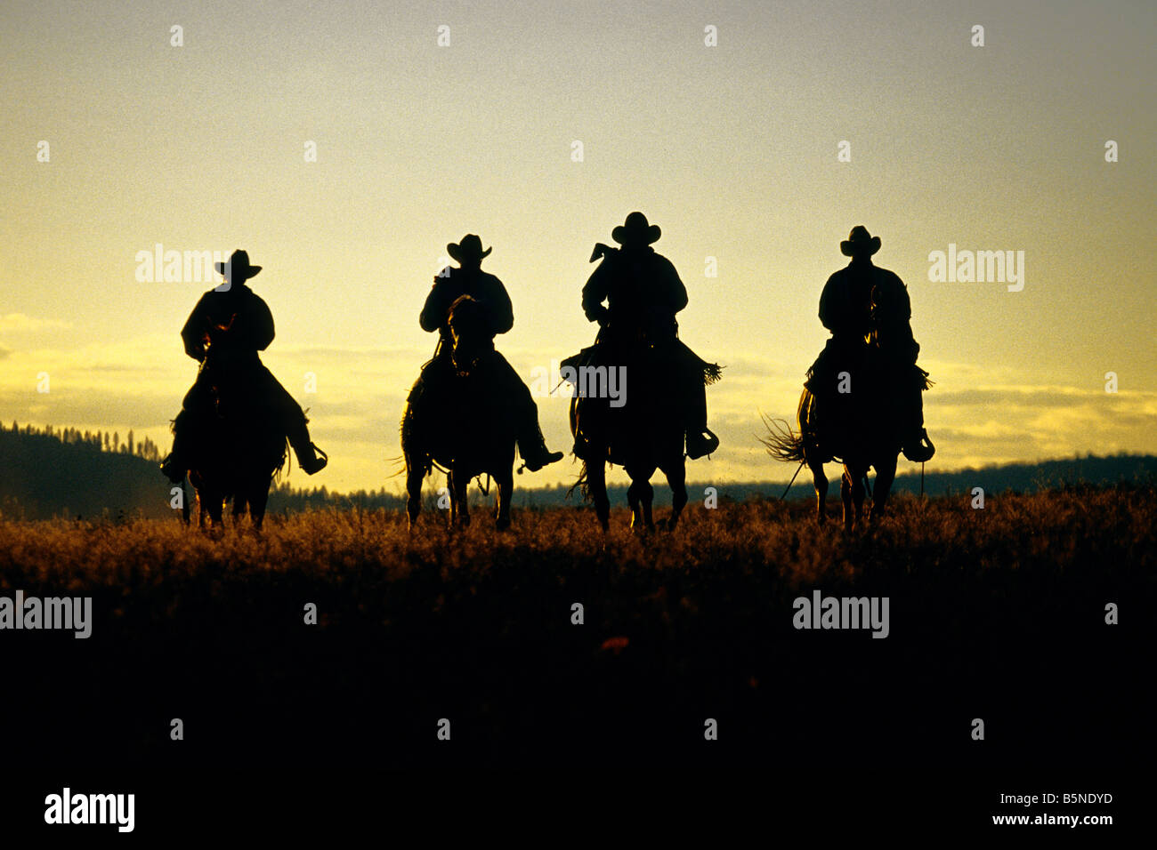 Quatre cowboys frapper la piste au lever du soleil. Banque D'Images